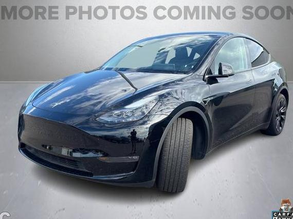 TESLA MODEL Y 2024 7SAYGDEE9RA241936 image